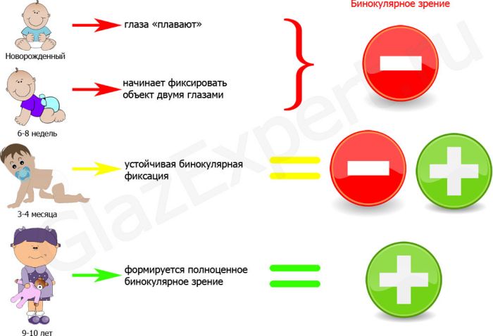 Зрение 3 Фото